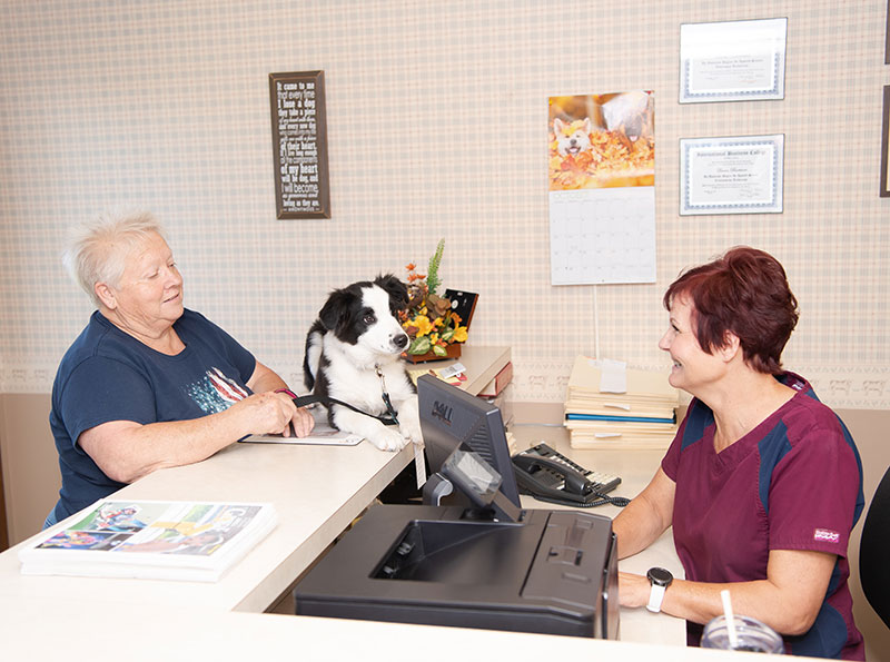 Delphos vet appointment